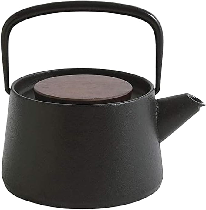 Ikenaga Tetu Nambu 鑄鐵茶壺 - 適合茶愛好者的正宗 Tetsukyusu