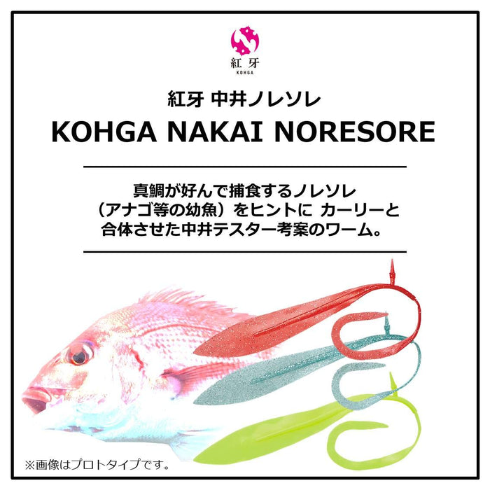 Daiwa Kouga Nakai Noresore 12 Inch Light Blue High-Performance Rod-Kiichin - The #1 Place for Japanese Goods in Your Hand!