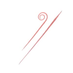 Daiwa Kouga Silicone Necktie Nakai Tune Slim Orange-Kiichin - The #1 Place for Japanese Goods in Your Hand!