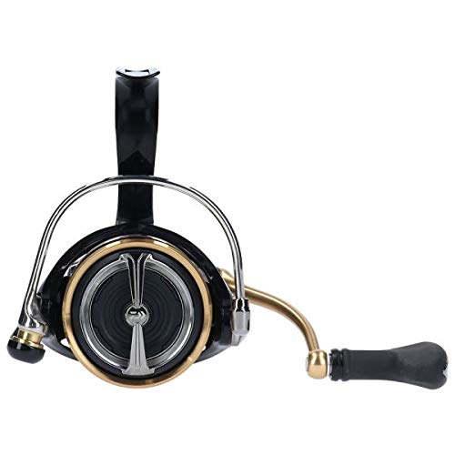 Daiwa Spinning Reel 19 Ballistic Lt3000S Cxh 2019 Model High Performance-Kiichin - The #1 Place for Japanese Goods in Your Hand!