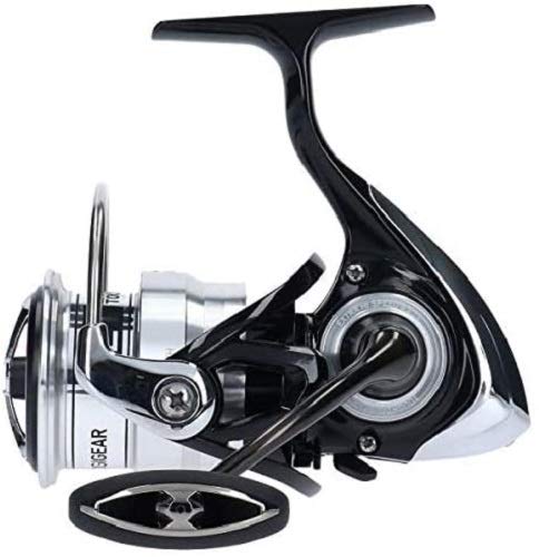 Daiwa 19 Regza LT3000S-CXH Spinning Reel 2019 Model-Kiichin - The #1 Place for Japanese Goods in Your Hand!