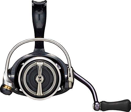 Daiwa Spinning Reel 20 Gekka Bijin X 2000S 2020 Model Fishing Reel-Kiichin - The #1 Place for Japanese Goods in Your Hand!