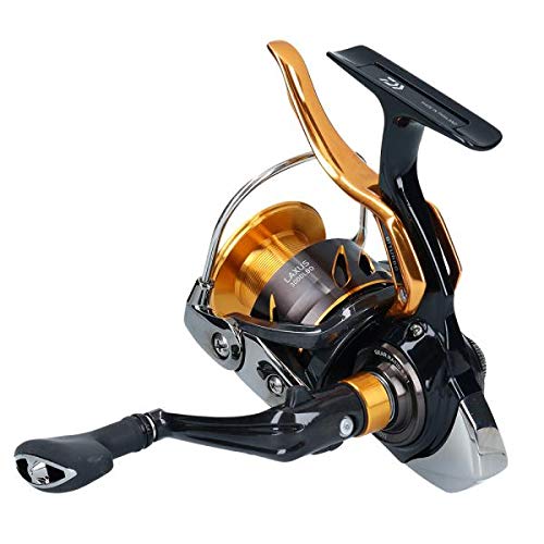 Daiwa 19 Lugus 3000Lbd Lever Brake Spinning Reel 2019 Model-Kiichin - The #1 Place for Japanese Goods in Your Hand!