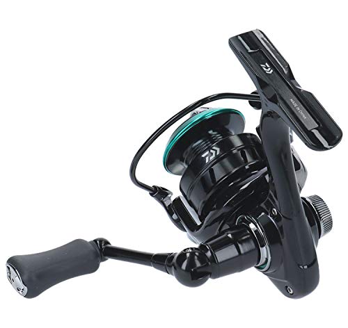 Daiwa Spinning Reel Mr 750 2019 Model High-Performance Fishing Reel-Kiichin - The #1 Place for Japanese Goods in Your Hand!