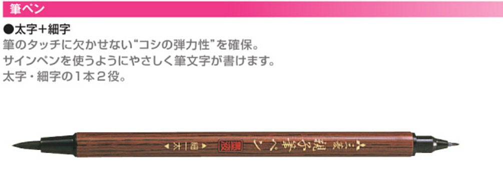 Mitsubishi Pencil 10-Pack Bold + Fine Brush Pen Set Pfk302N-Kiichin - The #1 Place for Japanese Goods in Your Hand!