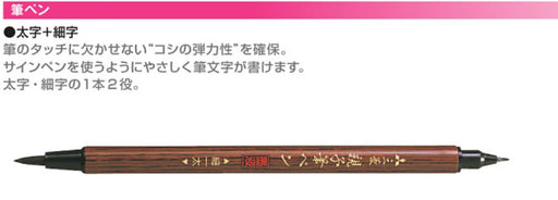 Mitsubishi Pencil 10-Pack Bold + Fine Brush Pen Set Pfk302N-Kiichin - The #1 Place for Japanese Goods in Your Hand!