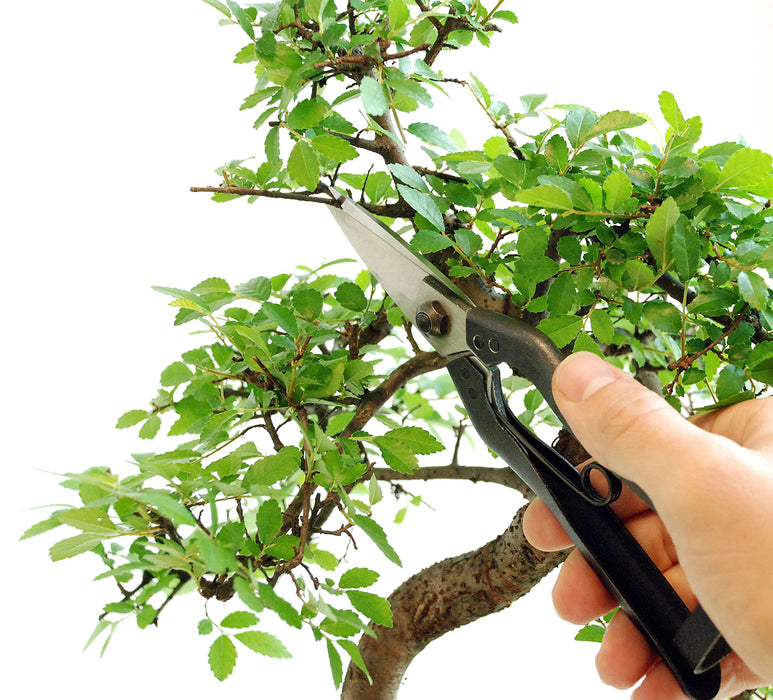 Okatsune 207 Matsushita Garden Shears - Precision Pruning Tool