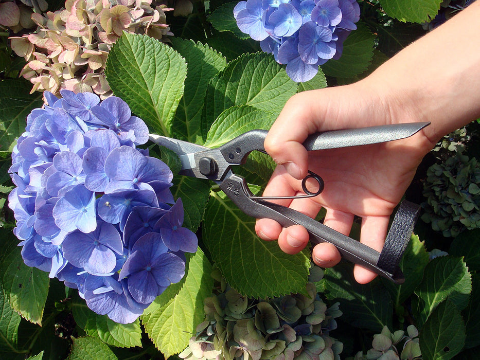 Okatsune 207 Matsushita Garden Shears - Precision Pruning Tool