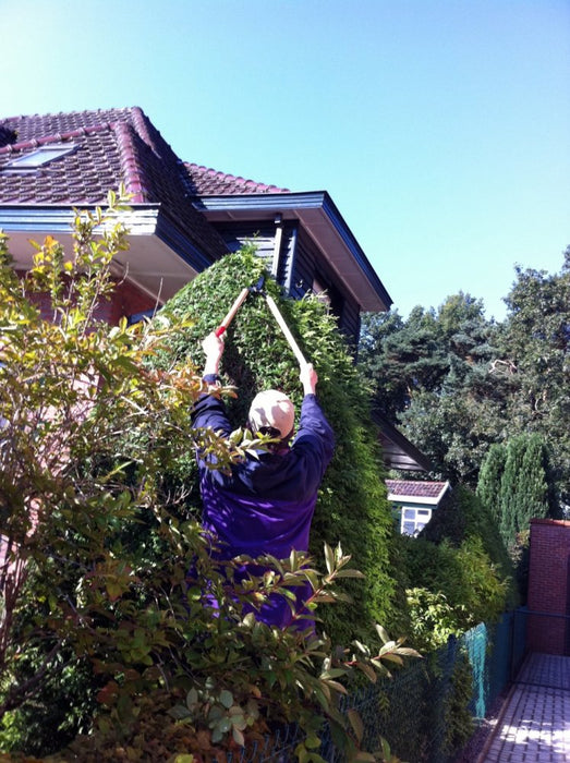 Okatsune Hedge Shears Type 60 Precision Garden Pruning Tool