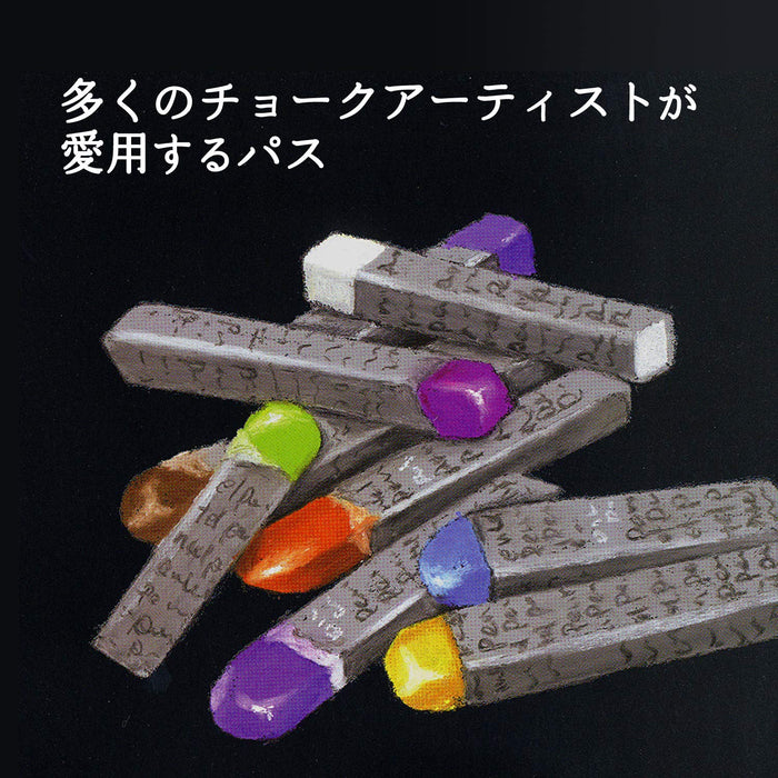 Pentel PTA-50D Professional Crayon Set with 49 Vibrant Colors Including 2 Whites-Kiichin - The #1 Place for Japanese Goods in Your Hand!