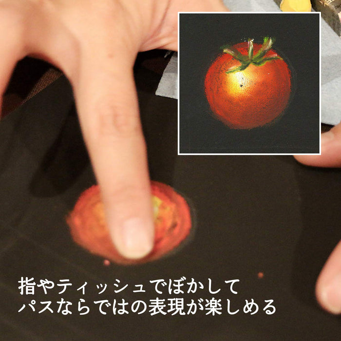 Pentel PTA-50D Professional Crayon Set with 49 Vibrant Colors Including 2 Whites-Kiichin - The #1 Place for Japanese Goods in Your Hand!