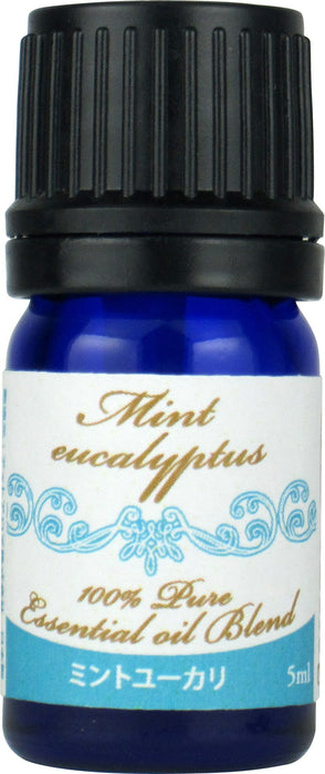 Sailor Aroma Fountain Pen Gift Set Champagne Gold & Mint Eucalyptus - 15-0318-379-Kiichin - The #1 Place for Japanese Goods in Your Hand!