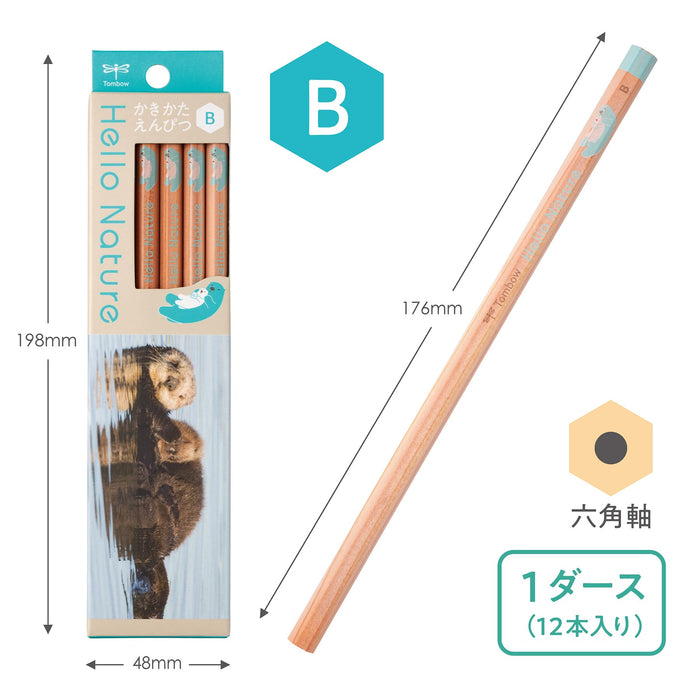 Tombow Hello Nature Sea Otter Drawing Pencil B Kb-Khnst2-B Series-Kiichin - The #1 Place for Japanese Goods in Your Hand!