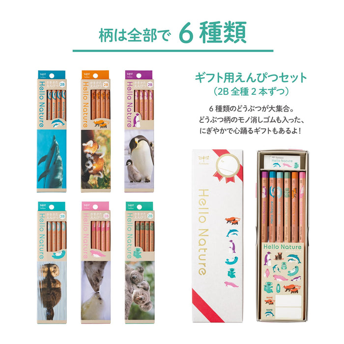 Tombow Hello Nature Sea Otter Drawing Pencil B Kb-Khnst2-B Series-Kiichin - The #1 Place for Japanese Goods in Your Hand!