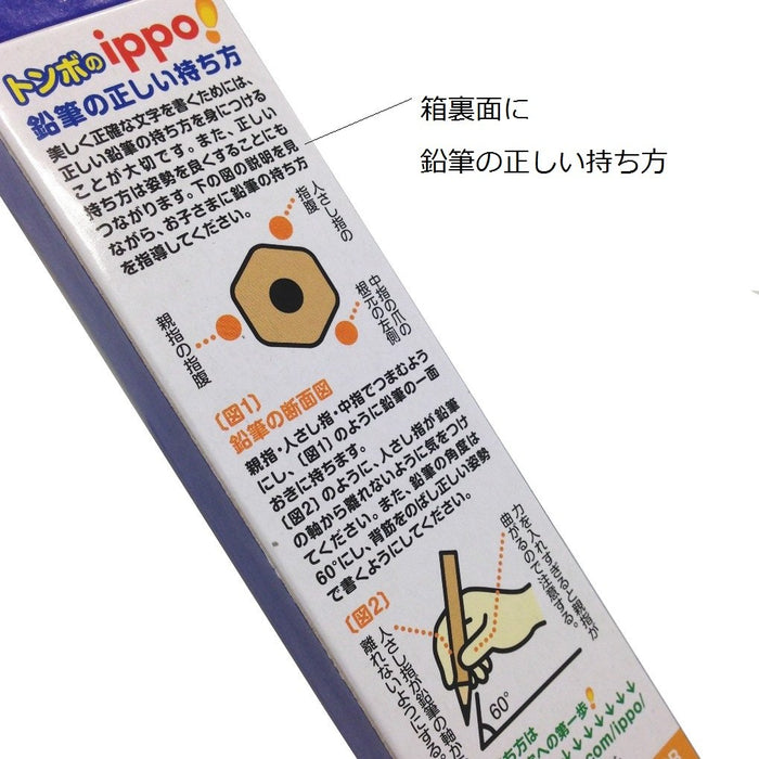Tombow Ippo 2B Plain Drawing Pencils - Pack of 12-Kiichin - The #1 Place for Japanese Goods in Your Hand!