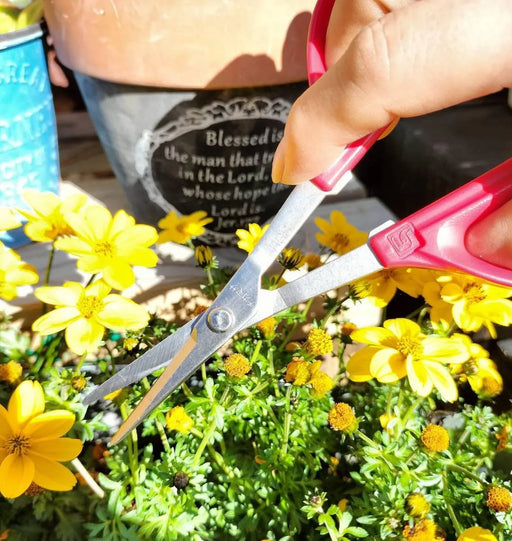 Chikamasa Insect Trap with Tweezers and Gardening Scissors GB-300SP by Chikamasa