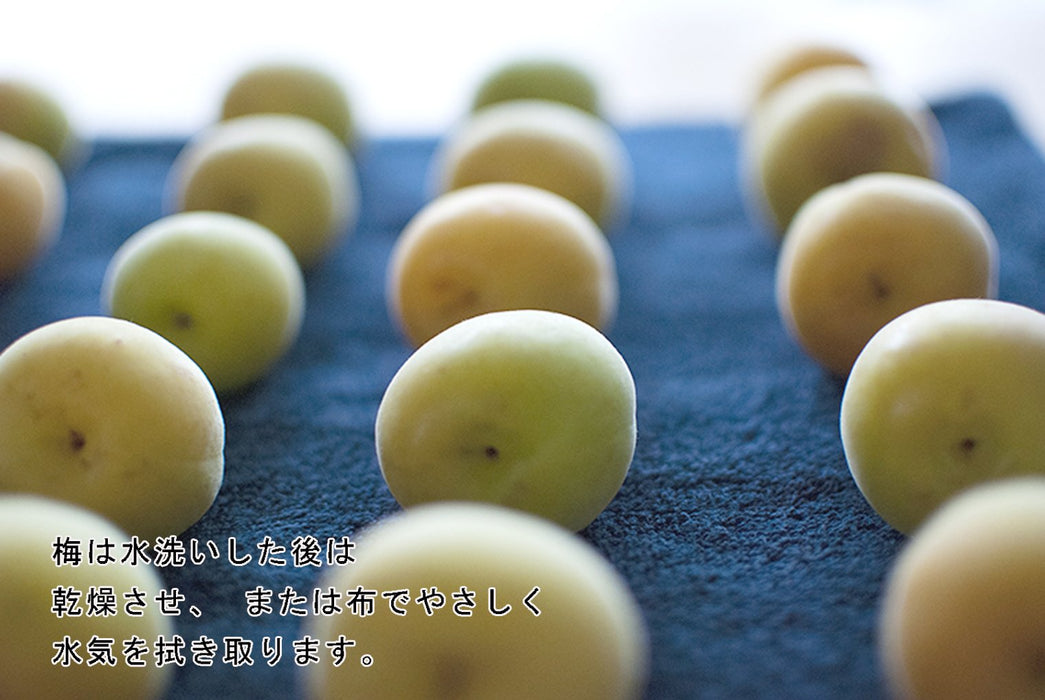 Aderia 4L Plum Bottle - Vintage Japanese Storage Jar with Ladle for Rice Wine, Fruit Sake, and Coffee Beans-Kiichin - The #1 Place for Japanese Goods in Your Hand!