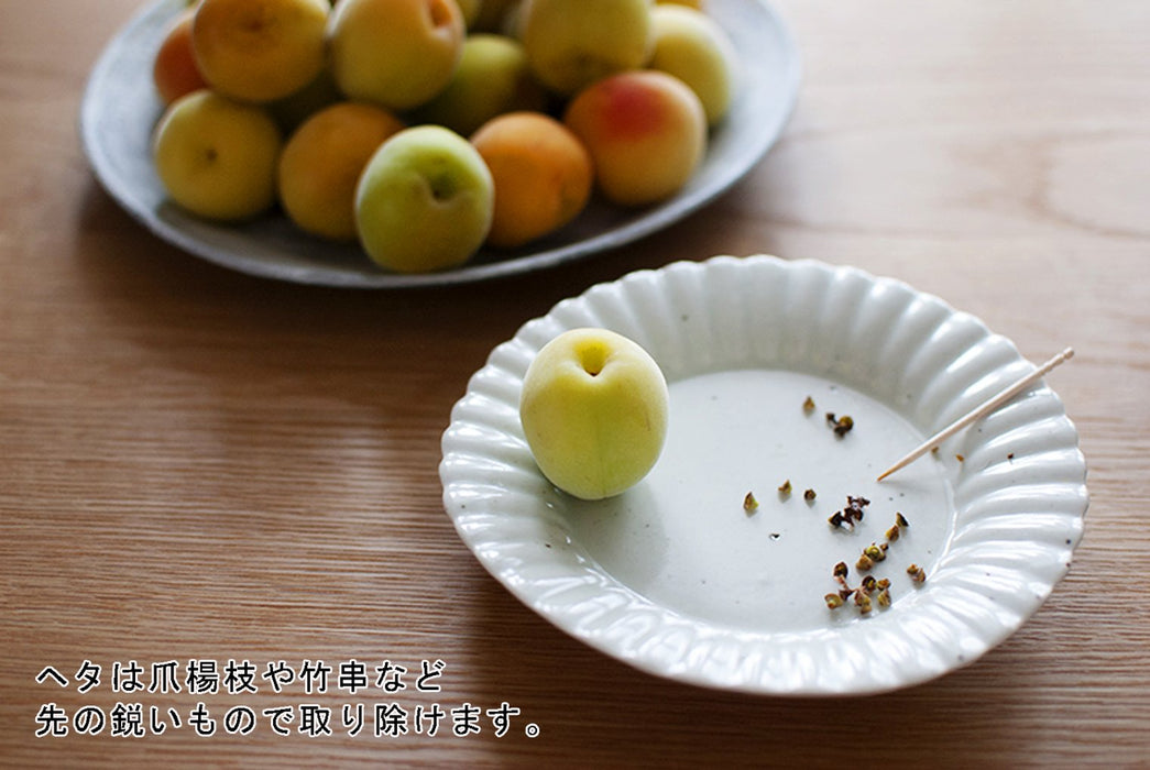 Aderia 4L Plum Bottle - Vintage Japanese Storage Jar with Ladle for Rice Wine, Fruit Sake, and Coffee Beans-Kiichin - The #1 Place for Japanese Goods in Your Hand!