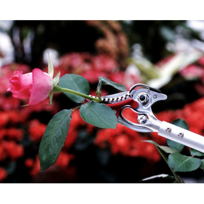 Ars Corporation Gardening Shears 150-0.6D-Kiichin - The #1 Place for Japanese Goods in Your Hand!