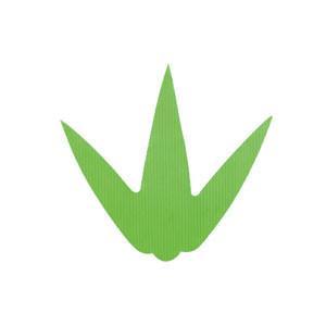 Asahi Sogyo Japan Baran Sushi Leaf Decoration (1000 Pcs) - Sanmai Sasa Small-Kiichin - The #1 Place for Japanese Goods in Your Hand!