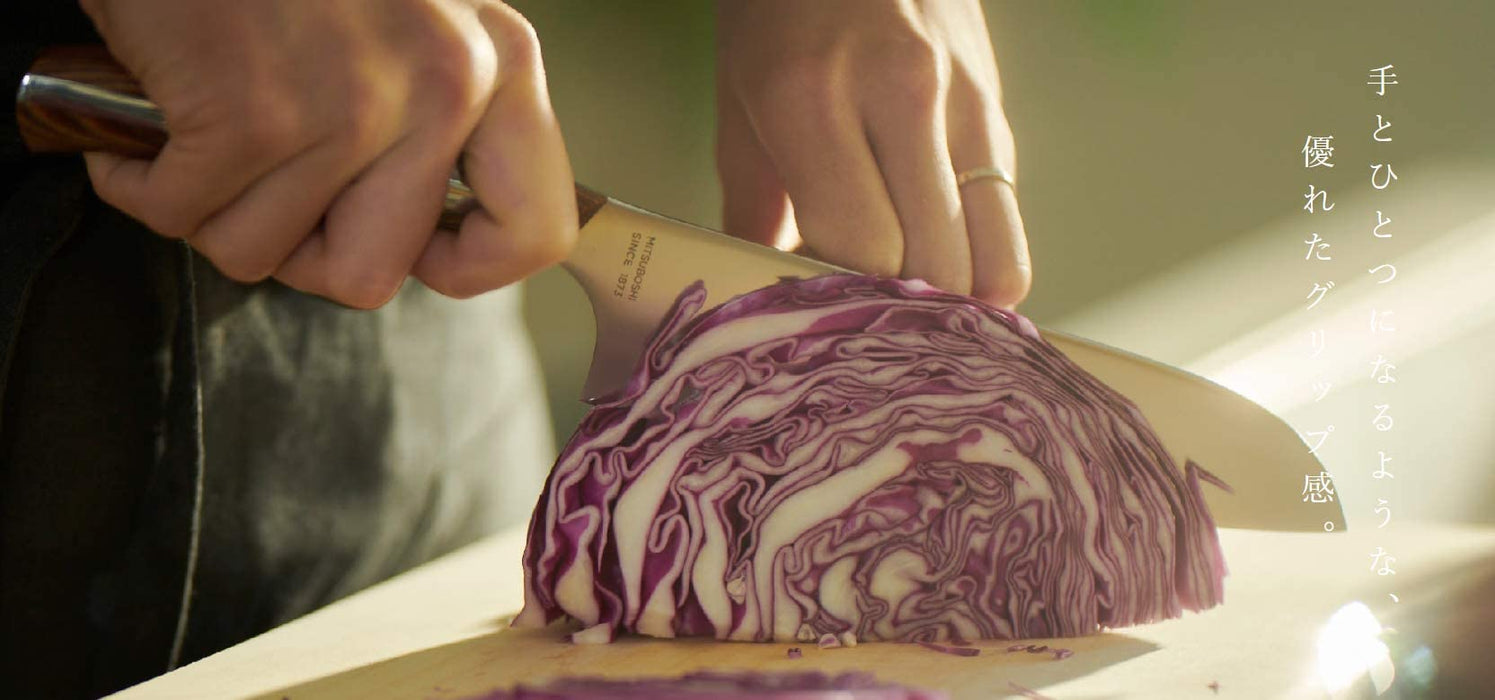 Nagomi Japanese Three-Star Shamono Beef Knife 205mm for Meat Fish & Veg-Kiichin - The #1 Place for Japanese Goods in Your Hand!