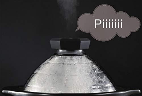 Hario Rice Pot 2-3 Cup GNR-200-B Glass Lid-Kiichin - The #1 Place for Japanese Goods in Your Hand!