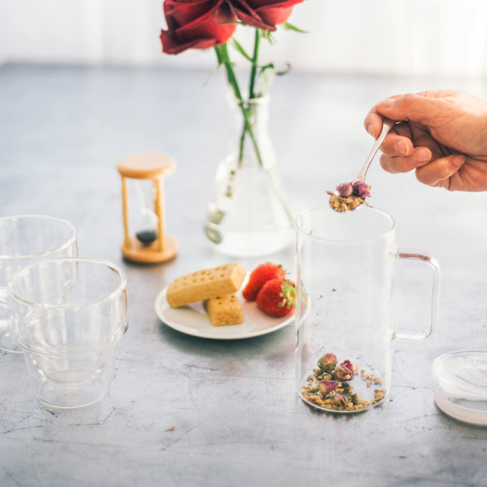 Hario S-GTM-40-T Glass Tea Maker 400ML Japan-Kiichin - The #1 Place for Japanese Goods in Your Hand!