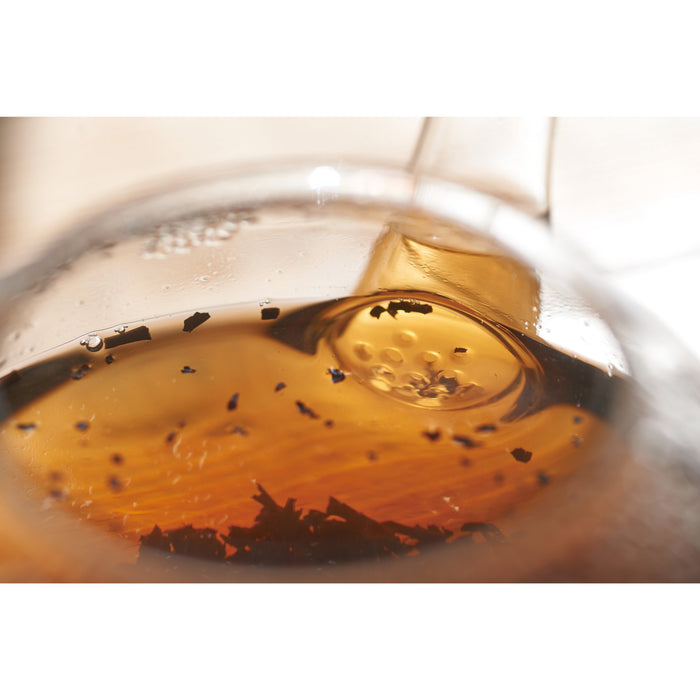 Hario Danube 800Ml Jumping Teapot - Authentic Japanese Tdg-4-Kiichin - The #1 Place for Japanese Goods in Your Hand!