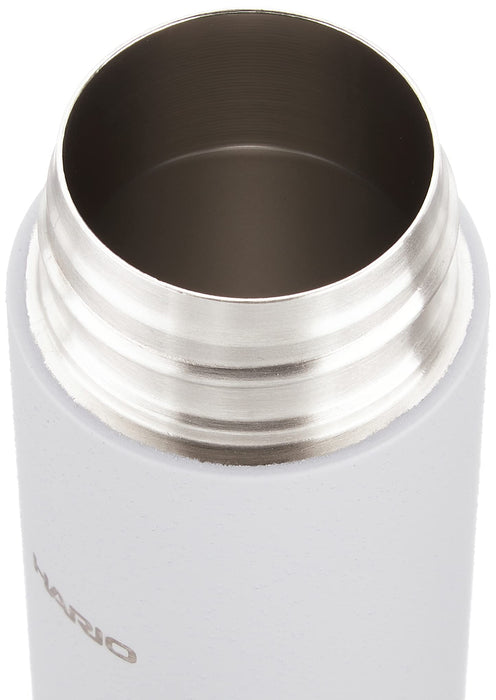 Hario SSB-140-GR 140ml Steel Bottle Gray-Kiichin - The #1 Place for Japanese Goods in Your Hand!