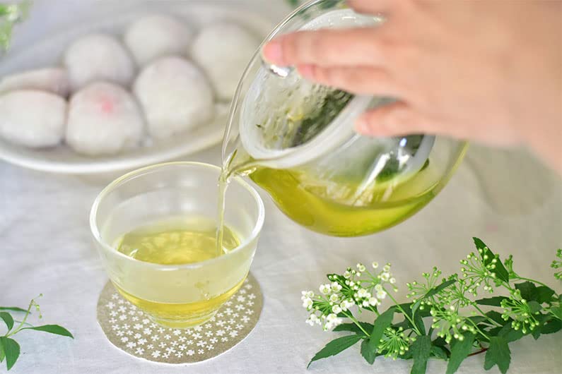 Hario Ayaori Teapot 450ml Heat-Resistant Glass Japan Microwave Dishwasher Safe-Kiichin - The #1 Place for Japanese Goods in Your Hand!