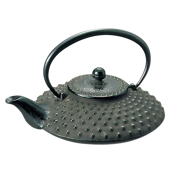 Iwachu Nambu Cast Iron Atsukan Warming Bottle Arare - Premium Heat Retaining Flask-Kiichin - The #1 Place for Japanese Goods in Your Hand!