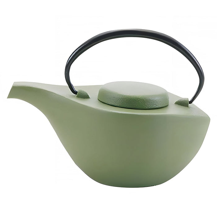 Iwachu Nambu Cast Iron Tetsukyusu Teapot - Hikifune Green Authentic Japanese Tea Brewing Essential-Kiichin - The #1 Place for Japanese Goods in Your Hand!