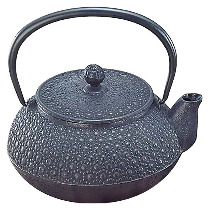 Iwachu Nambu Cast Iron Teapot Kikko 650ml - Authentic Japanese Tea Brewing Essential-Kiichin - The #1 Place for Japanese Goods in Your Hand!