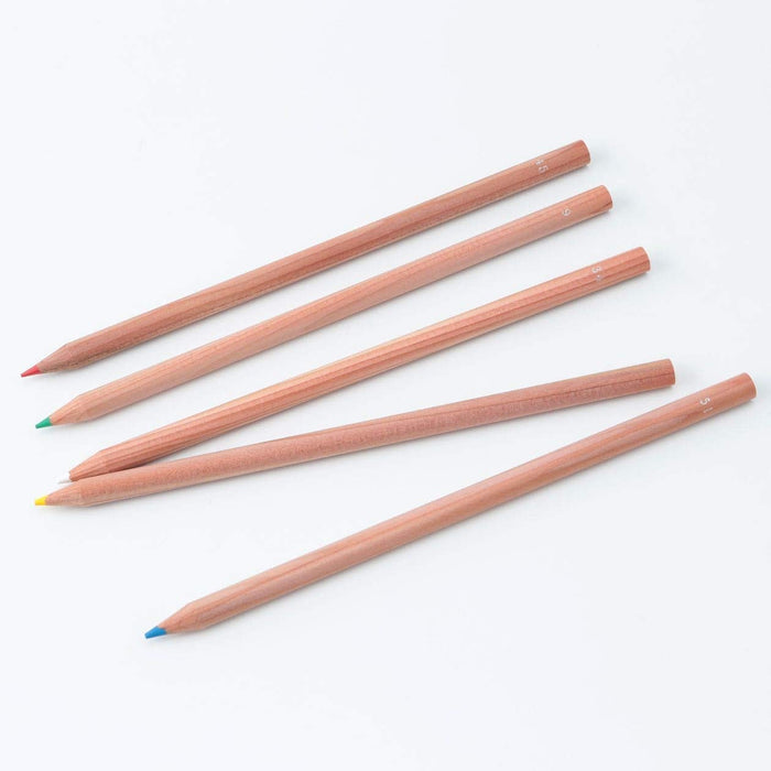 Mujirushi Ryohin 60-Color Colored Pencils in Paper Tube Case-Kiichin - The #1 Place for Japanese Goods in Your Hand!