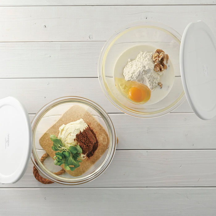 Set of 2 Hario Heat-Resistant Glass Bowls w/ Lid-Kiichin - The #1 Place for Japanese Goods in Your Hand!