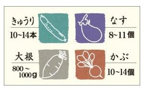 Squirrel 3L Round Green Pickle Container from Japan with Recipe E-30-Kiichin - The #1 Place for Japanese Goods in Your Hand!