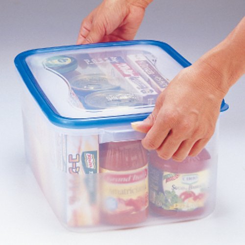 8L Clear Blue Storage Container by Squirrel - Made in Japan, Wj-3 with Antibacterial Treatment-Kiichin - The #1 Place for Japanese Goods in Your Hand!