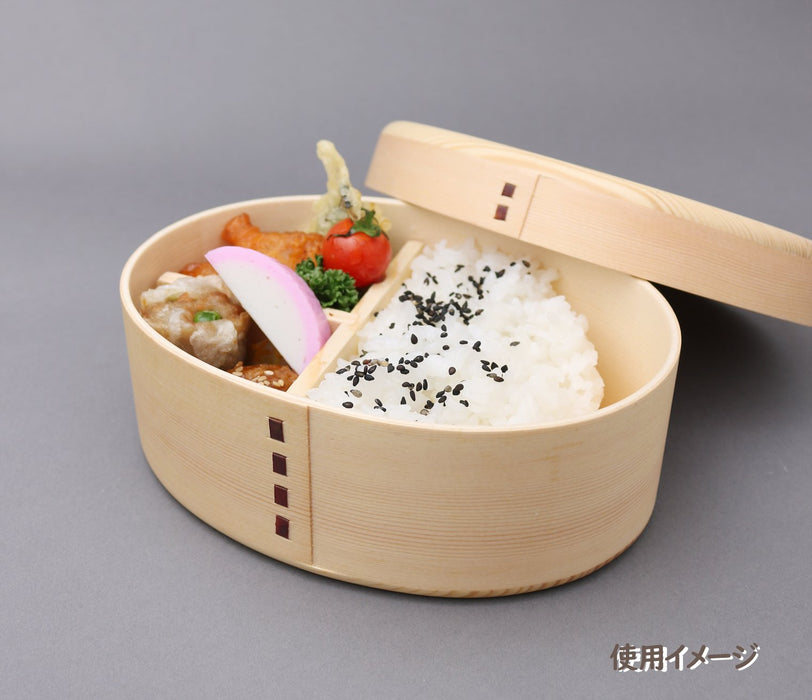 Ruozhao Japan Magewappa Single Tier Lunch Box - Oval Earl Finish-Kiichin - The #1 Place for Japanese Goods in Your Hand!