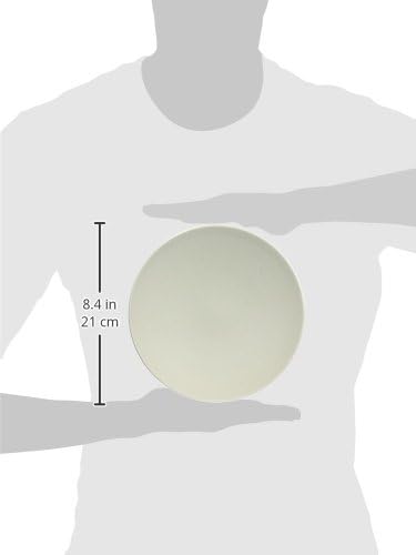 KINTO Hibi Gray Plate 200mm Durable and Stylish Tableware 26889
