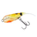 Daiwa Moonflower Young Shrimp Moebi 48 Count-Kiichin - The #1 Place for Japanese Goods in Your Hand!
