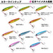 Daiwa Kouga Bay Metal Red Sea Bream Reel Case 60G 3D Sardine-Kiichin - The #1 Place for Japanese Goods in Your Hand!