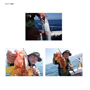 Daiwa Saltiga Cv Jig SLJ 30G Ph Red Gold Light Jigging Trikura Hooks-Kiichin - The #1 Place for Japanese Goods in Your Hand!