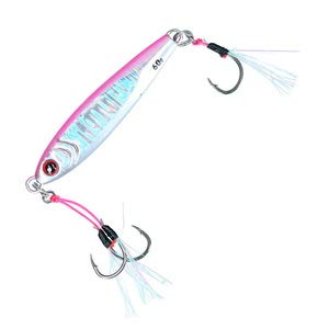 Daiwa Saltiga 80G Cv Jig for Light Jigging-Kiichin - The #1 Place for Japanese Goods in Your Hand!