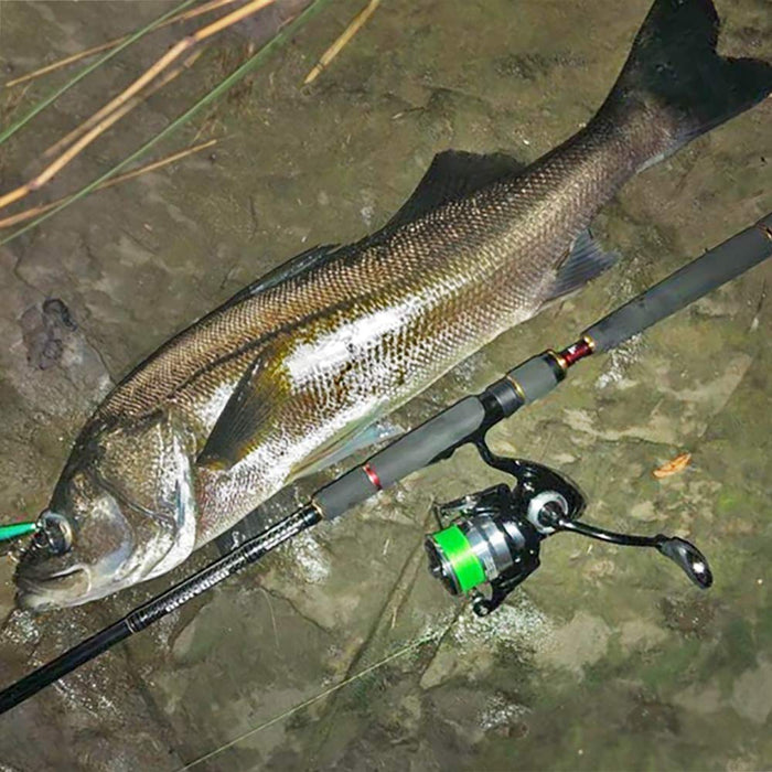Daiwa Spinning Reel 19 Regza Lt2500D XH 2019 Model Lightweight Fishing-Kiichin - The #1 Place for Japanese Goods in Your Hand!