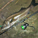 Daiwa Spinning Reel 19 Regza Lt2500D XH 2019 Model Lightweight Fishing-Kiichin - The #1 Place for Japanese Goods in Your Hand!