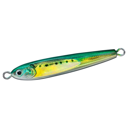 Daiwa Tungsten Jig Saltiga Tg Bait 100G F Real Gg Maiwa-Kiichin - The #1 Place for Japanese Goods in Your Hand!