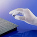 Engineer Brand Conductive Palm Coat Gloves M Size-Kiichin - The #1 Place for Japanese Goods in Your Hand!