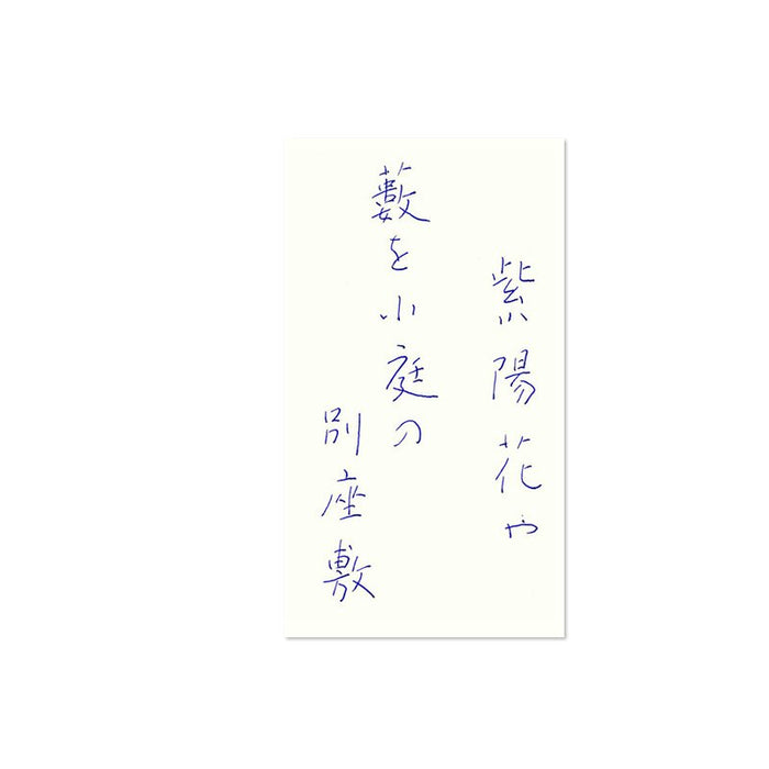 Pilot Fountain Pen with Hydrangea Water-Based Ink Iroshizuku Mini 15ml Bottle-Kiichin - The #1 Place for Japanese Goods in Your Hand!