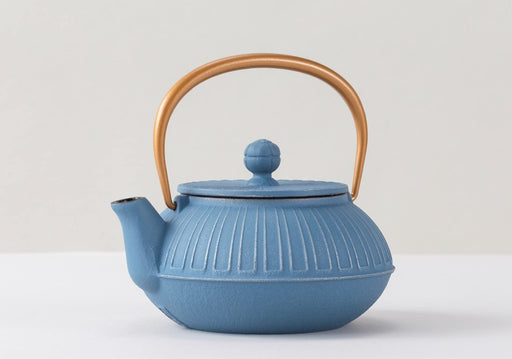 Iwachu Nambu Ironware Teapot 0.65L Chrysanthemum Design Silver Sky Blue-Kiichin - The #1 Place for Japanese Goods in Your Hand!