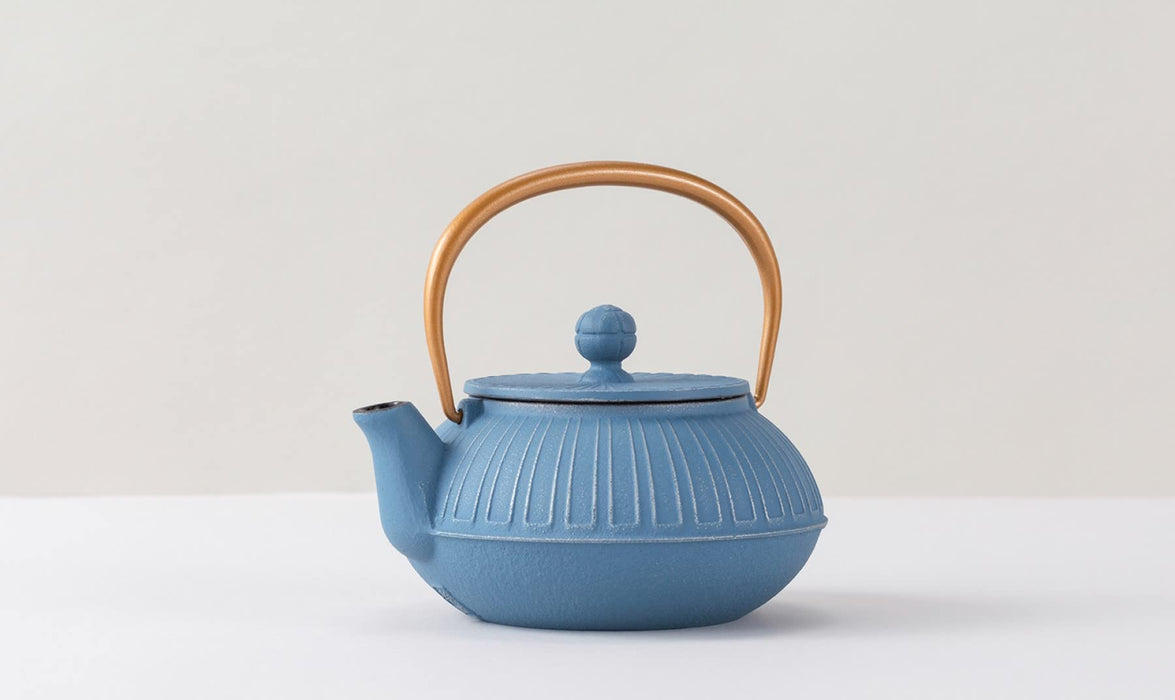 Iwachu Nambu Ironware Teapot 0.65L Chrysanthemum Design Silver Sky Blue-Kiichin - The #1 Place for Japanese Goods in Your Hand!